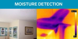 Thermal Imaging Moisture Detection